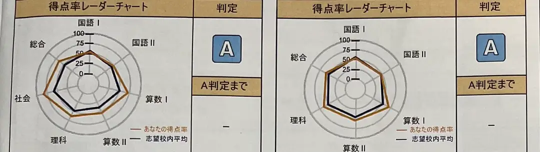 模試A判定のレーダーチャート